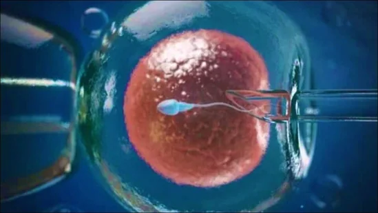 ivf_fertility